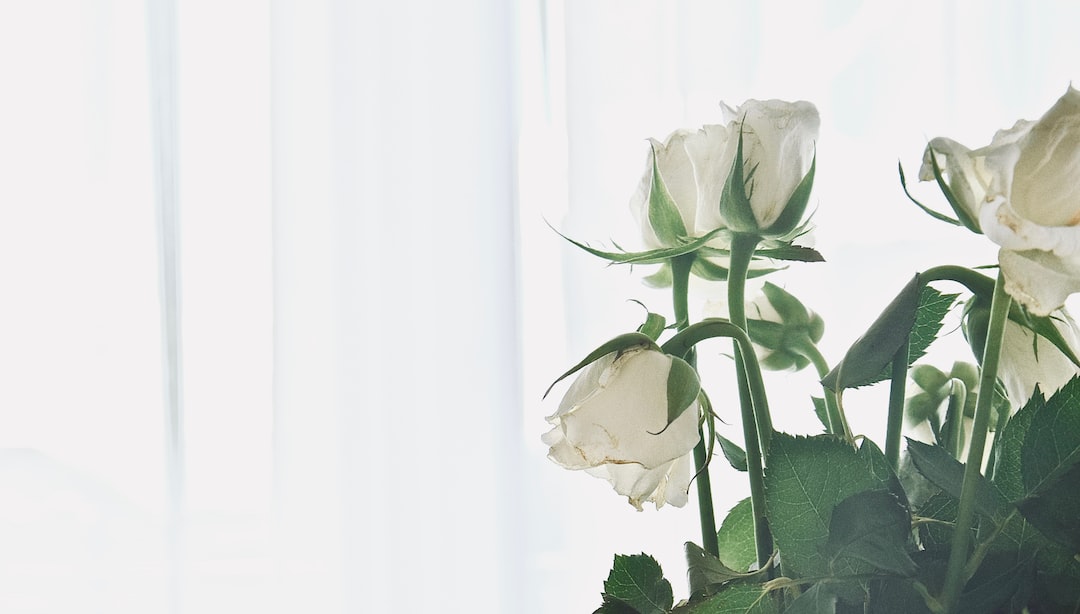 Kwiaty na przeprosiny: Skuteczny sposób na naprawę błędów