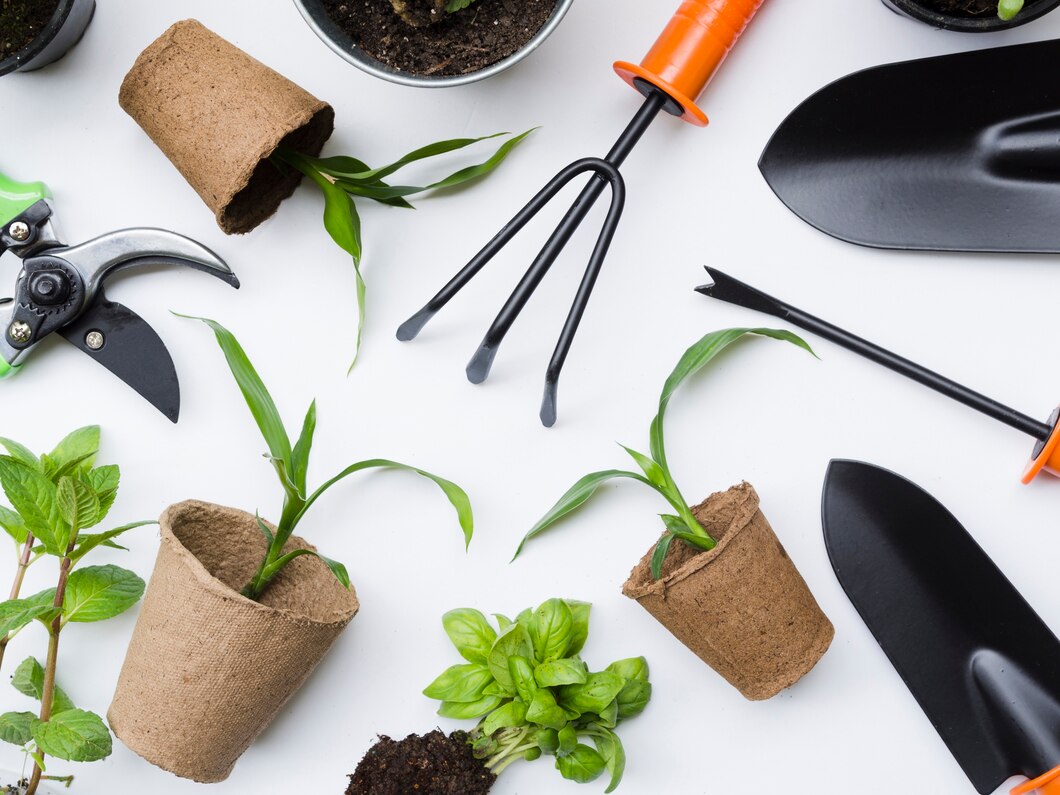 Jak wybrać idealne akcesoria do pielęgnacji roślin w domu i ogrodzie?
