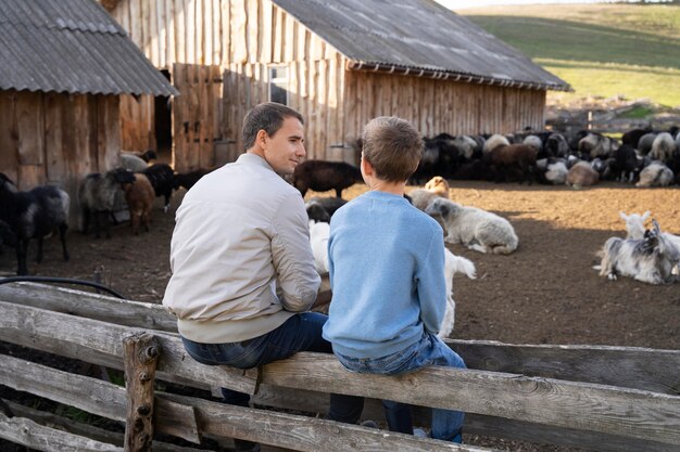 Jak Wpływa Pielęgnacja Zwierząt Gospodarskich na Ich Zdrowie i Zachowanie?